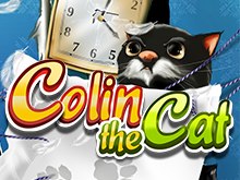 Colin The Cat