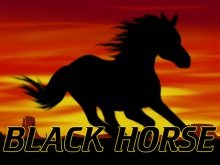 Black Horse