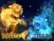 Double Tigers